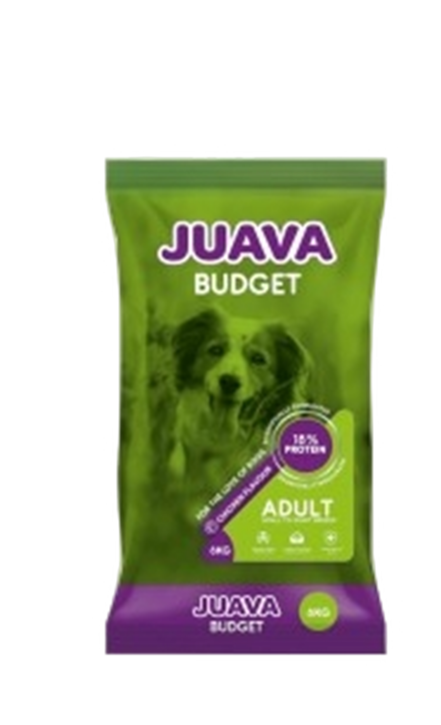 Juava Budget